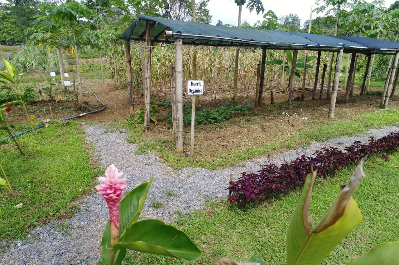 Hope Garden, Sarapiqui, We Connect You With The Sarapiqui Tropical Forest Екстериор снимка