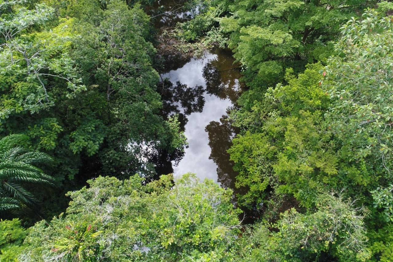 Hope Garden, Sarapiqui, We Connect You With The Sarapiqui Tropical Forest Екстериор снимка