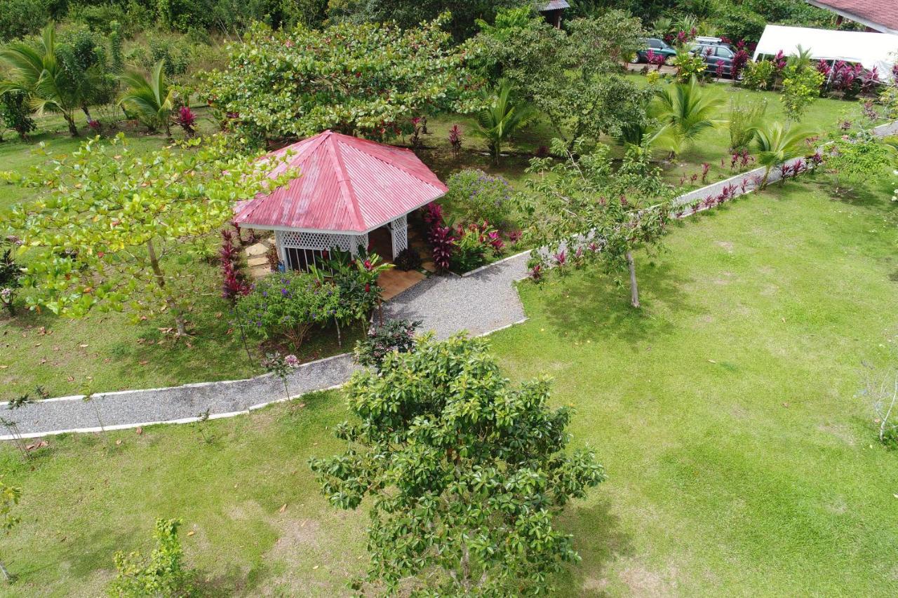 Hope Garden, Sarapiqui, We Connect You With The Sarapiqui Tropical Forest Екстериор снимка
