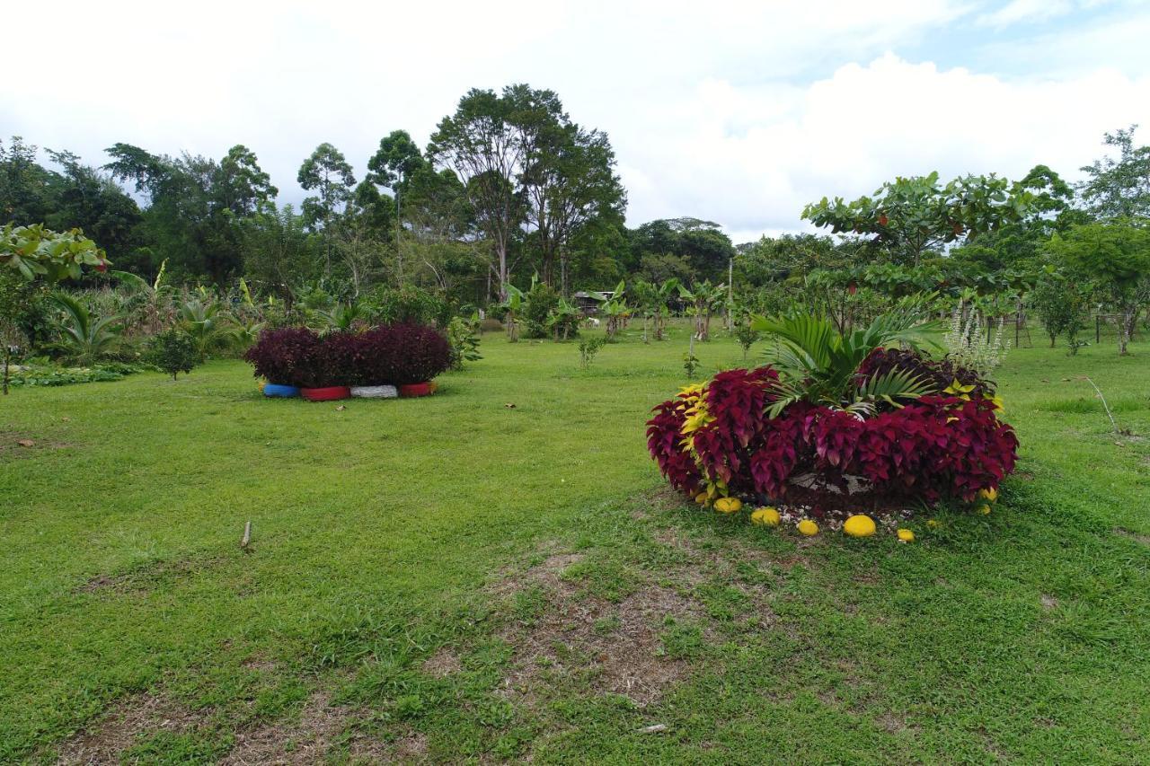 Hope Garden, Sarapiqui, We Connect You With The Sarapiqui Tropical Forest Екстериор снимка