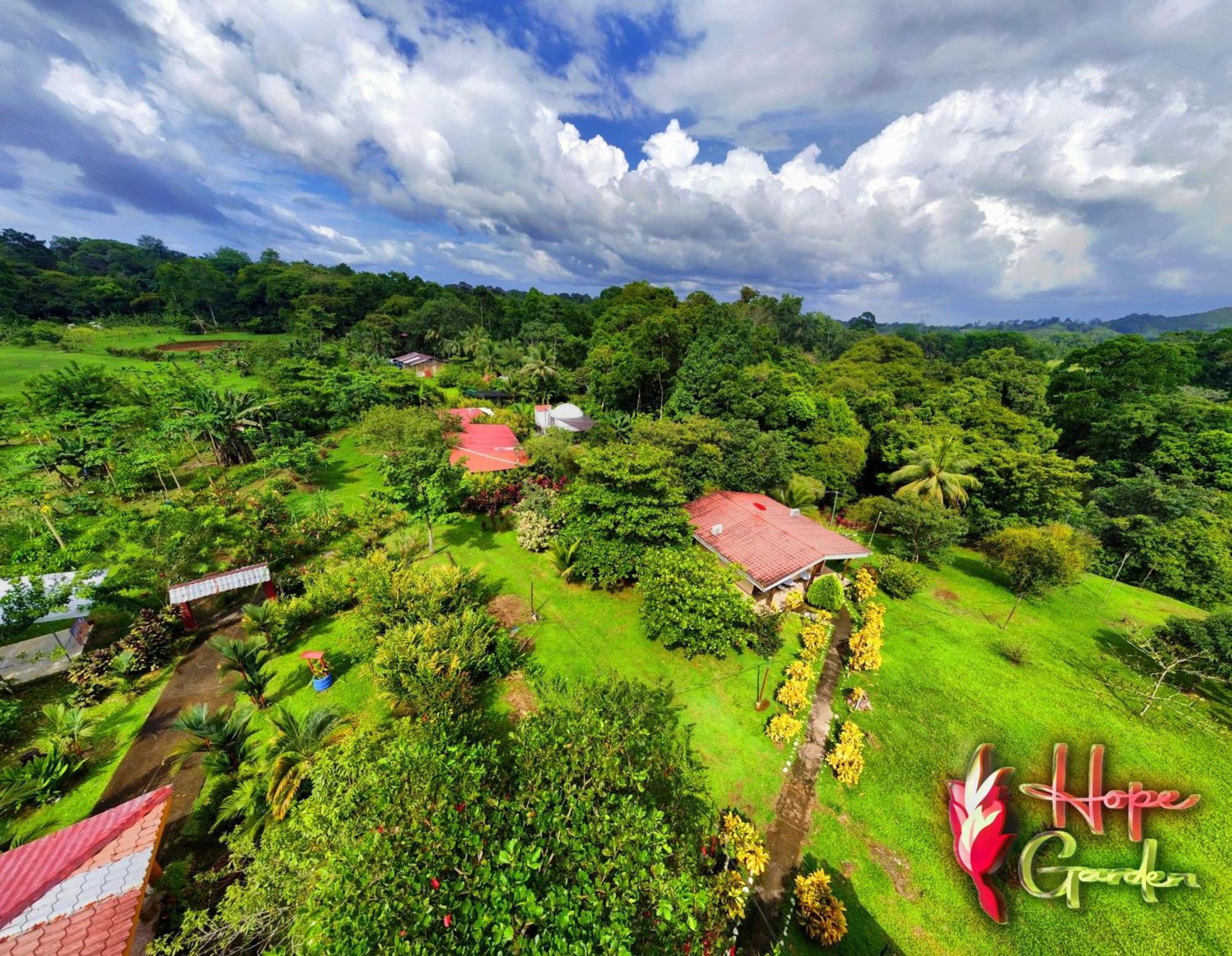 Hope Garden, Sarapiqui, We Connect You With The Sarapiqui Tropical Forest Екстериор снимка