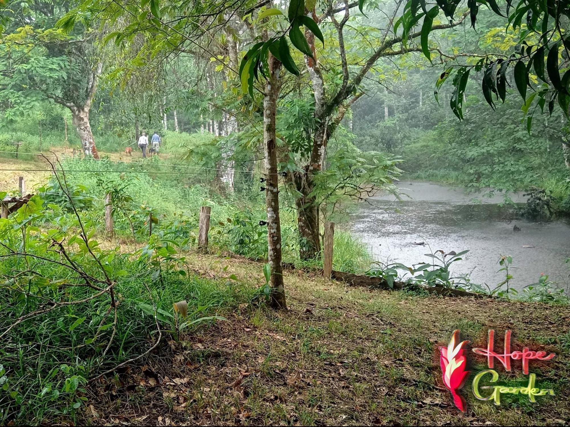 Hope Garden, Sarapiqui, We Connect You With The Sarapiqui Tropical Forest Екстериор снимка