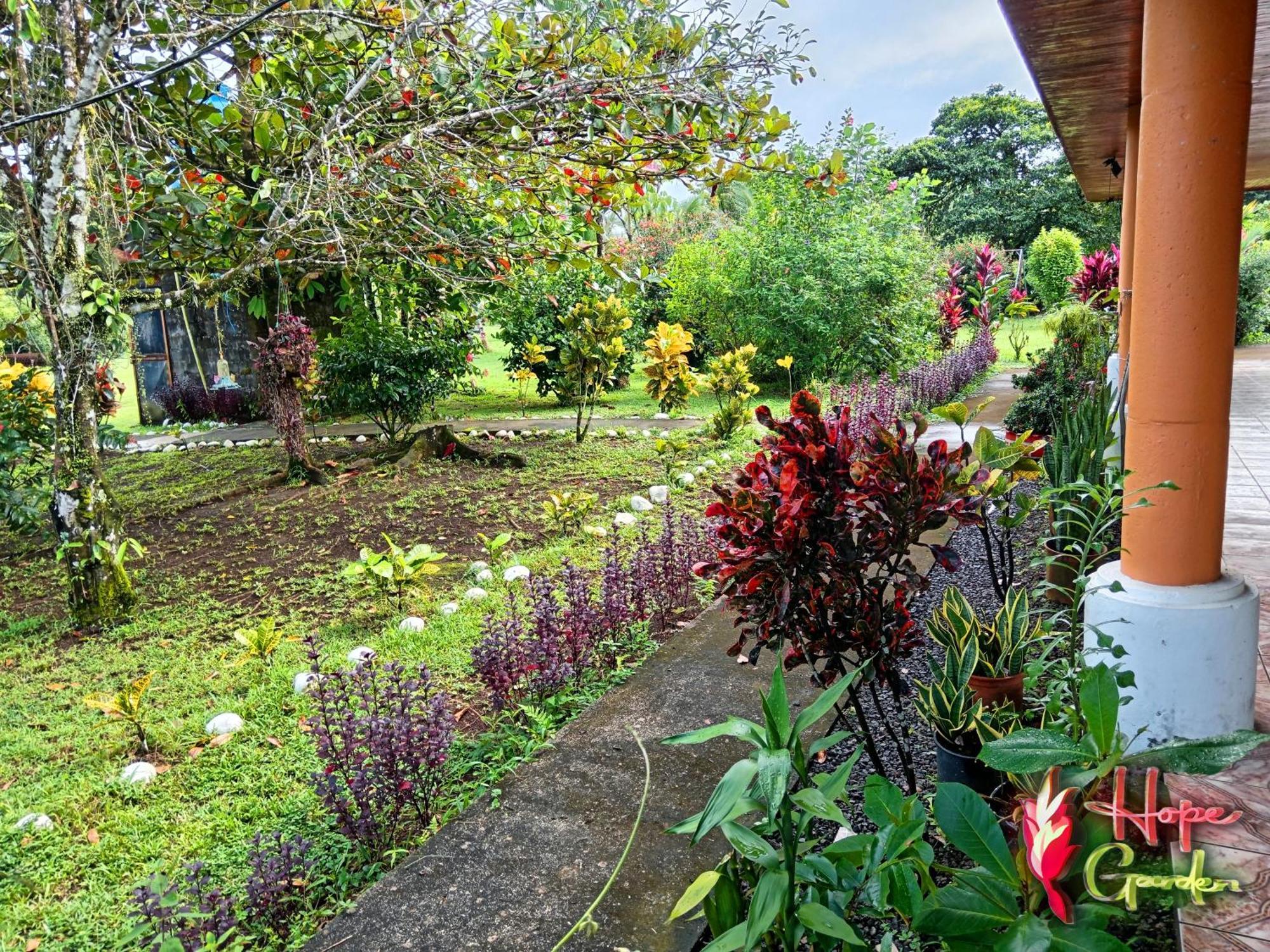 Hope Garden, Sarapiqui, We Connect You With The Sarapiqui Tropical Forest Екстериор снимка