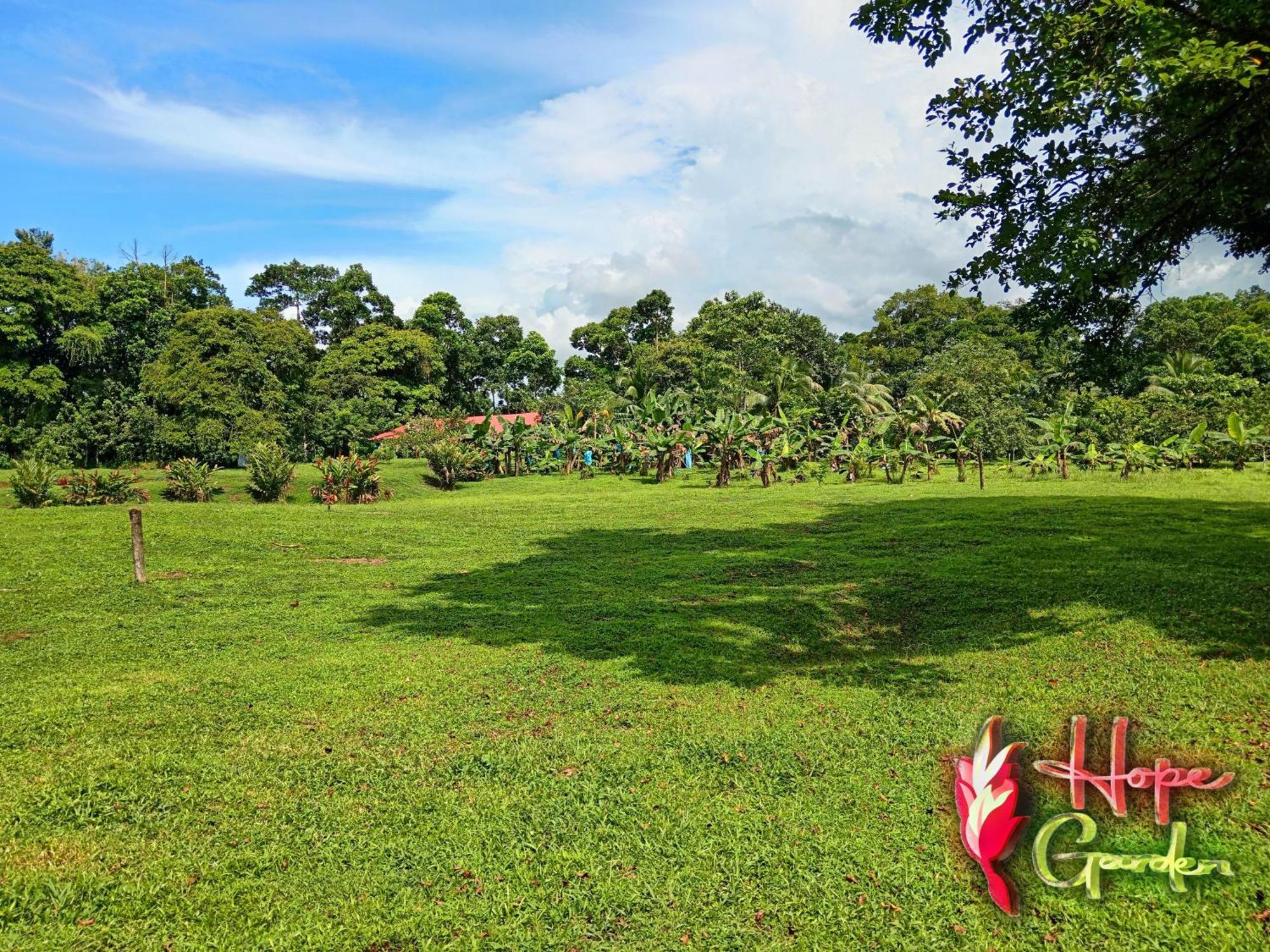 Hope Garden, Sarapiqui, We Connect You With The Sarapiqui Tropical Forest Екстериор снимка